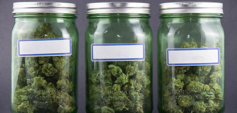 Best Way to Keep Your Weed Fresh – Smell-Proof Canisters